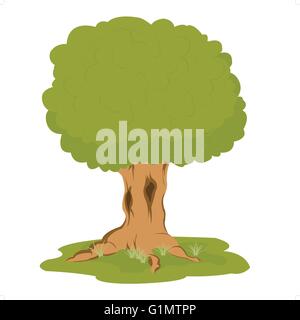 Grande albero sulla radura su sfondo bianco è isolato Illustrazione Vettoriale