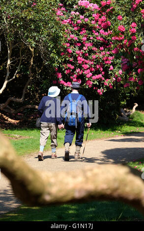 Giovane camminando in Sheringham Park, North Norfolk, Inghilterra Foto Stock