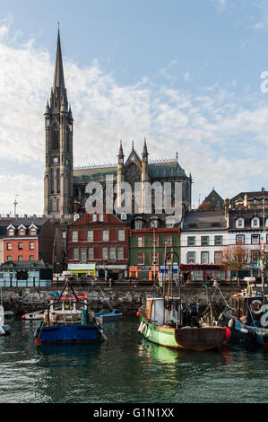 St Coleman's Cathedral, Cobh, Irlanda torreggia sopra i negozi, case e porto. Foto Stock