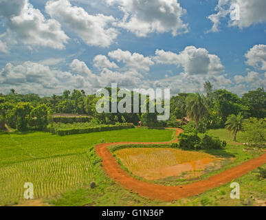 Rural West Bengal scenario da un treno in movimento, India Foto Stock