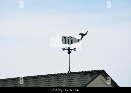 San Francisco, California, Stati Uniti d'America: un weathervane conformata come una balena su un tetto Foto Stock