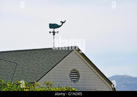 San Francisco, California, Stati Uniti d'America: un weathervane conformata come una balena su un tetto Foto Stock