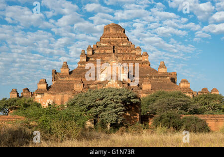 Tempio Dhammayangyi (Paya), Bagan, Birmania (Myanmar) Foto Stock
