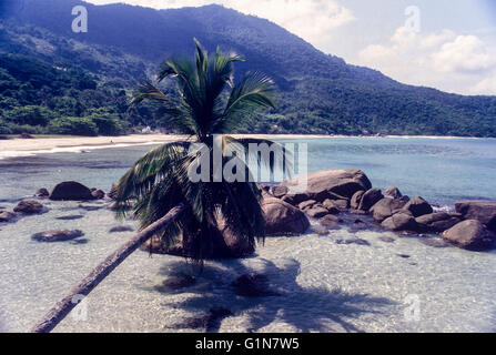 Reserva Biologica Estadual da Praia do Sul ( Praia do Sul Stato Riserva Biologica ) in Ilha Grande ( Grande Isola ) un isola situata al largo della costa della stato di Rio de Janeiro in Brasile, che fa parte del comune di Angra dos Reis - l'isola è una destinazione che si fa notare per la sua bellezza paesaggistica e incontaminate spiagge tropicali, vegetazione lussureggiante e aspro paesaggio. Foto Stock