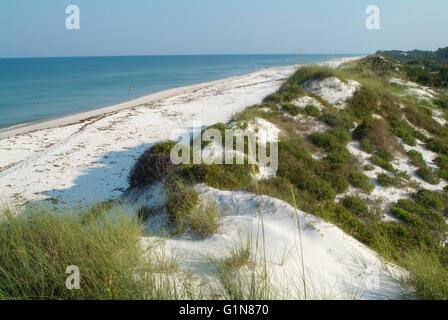 San Giuseppe penisola parco statale, FL. Foto Stock
