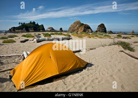 WASHINGTON - escursionista relax in spiaggia campeggio sul punto Toleak su un deserto sezione della costa del Pacifico in Olympic Natl Park. Foto Stock