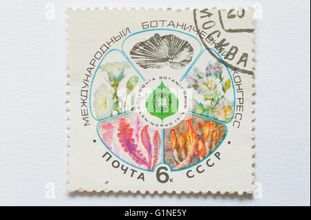 UZHGOROD, Ucraina - circa maggio, 2016: francobollo stampato in URSS, mostra internazionale XII Congresso Botanico a 1975 a Lenin Foto Stock