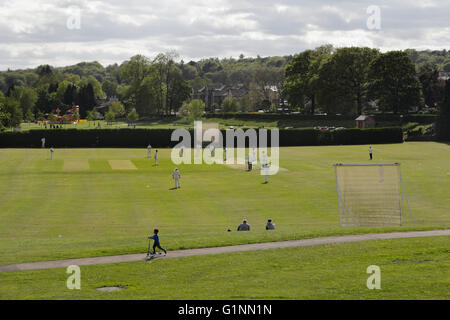 Local partita di cricket in Millhouses Park Sheffield Inghilterra Foto Stock