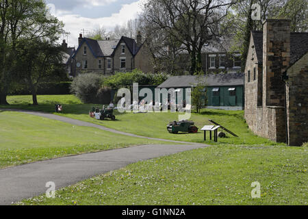 Local partita di cricket in Millhouses Park Sheffield Inghilterra Foto Stock