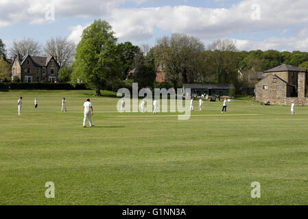 Local partita di cricket in Millhouses Park Sheffield Inghilterra Foto Stock