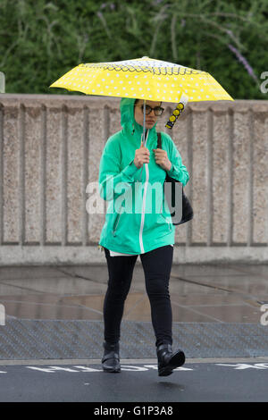 Londra, Regno Unito. Il 18 maggio 2016. Un turista con un ombrello durante la pioggia e il tempo umido nel centro di Londra di questa mattina. Credito: London pix/Alamy Live News Foto Stock