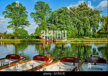 Barche a remi ormeggiate sul fiume Avon a Stratford upon Avon, Warwickshire un pomeriggio estivo Foto Stock