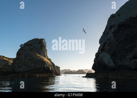 Le rotture di isole in early morning light guardando ad est verso le isole di giunzione e la grande isola barriera. Foto Stock