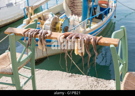 Il polpo essiccazione su un bastone di Chania, Grecia Foto Stock