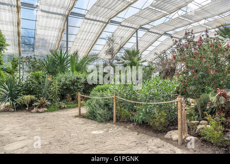Giardino botanico di piante esotiche, vista dall'interno. Foto Stock