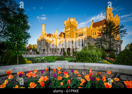 Tulipani e Casa Loma a Midtown Toronto, Ontario. Foto Stock