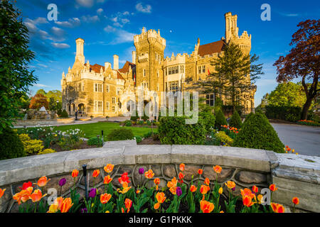 Tulipani e Casa Loma a Midtown Toronto, Ontario. Foto Stock