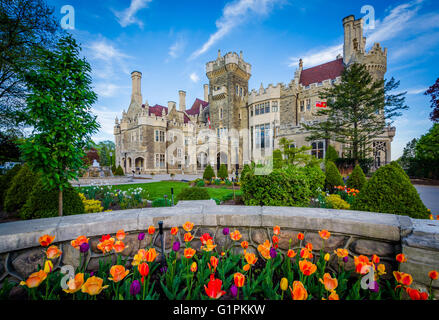 Tulipani e Casa Loma a Midtown Toronto, Ontario. Foto Stock