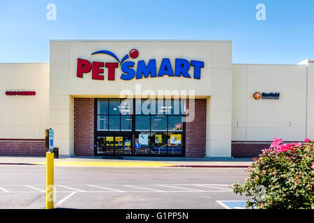 La parte esterna di un Petsmart business che si occupa di prodotti per animali domestici del Memorial road nella città di Oklahoma, Oklahoma, Stati Uniti d'America. Foto Stock