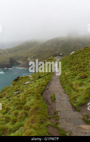 Il percorso che conduce a un punto di vista, Tintagel Castle, Cornwall, Regno Unito. Foto Stock