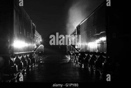 Il Germano Reale e tarabuso stanno fianco a fianco al grande raduno a Shildon locomozione Febbraio 2014 in bianco e nero Foto Stock