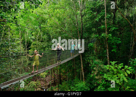 Skywalk, ponte di sospensione, Taman Negara national park, Penang, Malaysia Foto Stock