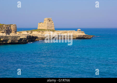 Scogliere rocciose sulla costa tra Roca e Torre dell'Orso nel Salento Foto Stock