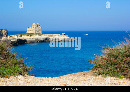 Scogliere rocciose sulla costa tra Roca e Torre dell'Orso nel Salento Foto Stock