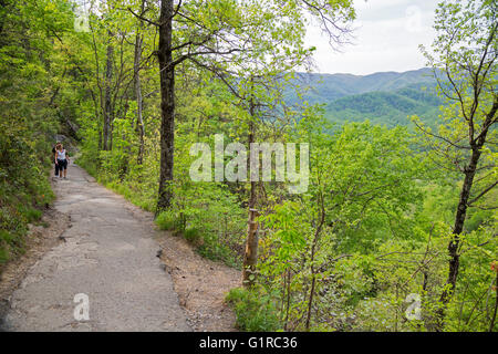 Parco Nazionale di Great Smoky Mountains, Tennessee - Persone escursioni su Laurel Falls trail. Foto Stock