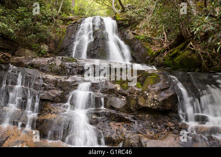 Parco Nazionale di Great Smoky Mountains, Tennessee - alloro cade. Foto Stock