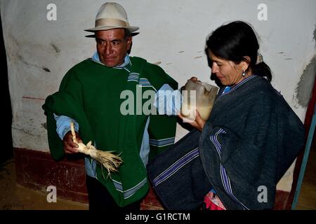 Shaman - Bere San Pedro impianto ( bevanda Allucinogeni ) per ' Limpia ' ( Fede guarigione ) in Sapalache ' Las Huaringas ' Foto Stock