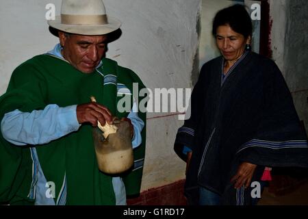 Shaman - Bere San Pedro impianto ( bevanda Allucinogeni ) per ' Limpia ' ( Fede guarigione ) in Sapalache ' Las Huaringas ' Foto Stock