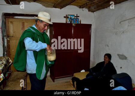 Shaman - Bere San Pedro impianto ( bevanda Allucinogeni ) per ' Limpia ' ( Fede guarigione ) in Sapalache ' Las Huaringas ' Foto Stock