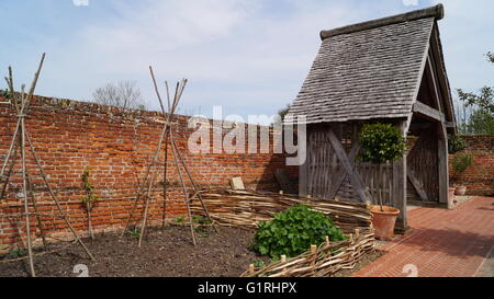 Patch vegetale presso il giardino murato, Cressing Temple, Braintree, Essex, Regno Unito Foto Stock