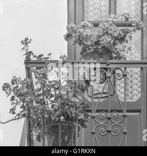 Foto in bianco e nero di dettaglio di stile coloniale porta finestra con balcone e vasi di fiori in Quito Ecuador Foto Stock