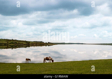 Foto di Lago colliford Foto Stock