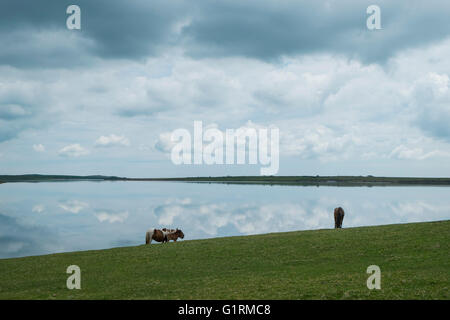 Foto di Lago colliford Foto Stock