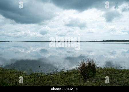 Foto di Lago colliford Foto Stock