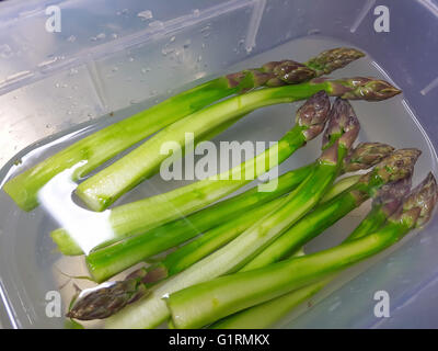 Pelati a base di asparagi verdi, arrivare preparati, in acqua, in un ristorante di cucina Foto Stock