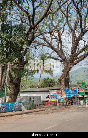 Enormi alberi sulla scena di strada in Kyaiktiyo, Myanmar. Foto Stock