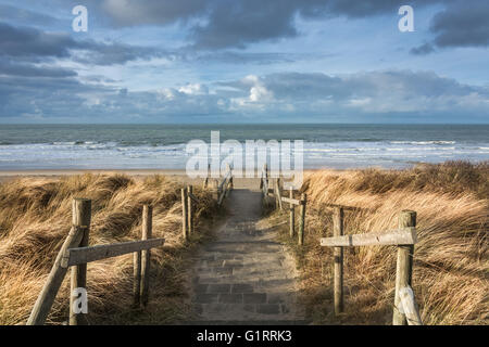 Si affaccia sul Mare del Nord sulla sommità di una duna Foto Stock