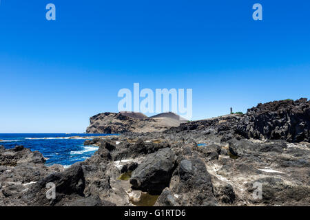 Costa vulcanica, Faial, Azzorre, Portogallo Foto Stock