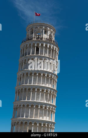 Torre pendente di Pisa, Piazza del Duomo, Piazza dei Miracoli, Provincia di Pisa, Toscana, Italia Foto Stock