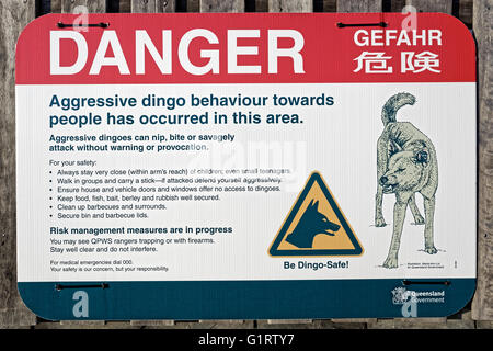 Segno, avvertimento pericolo di Dingo (Canis lupus dingo), l'Isola di Fraser, Great Sandy National Park, Queensland, Australia Foto Stock