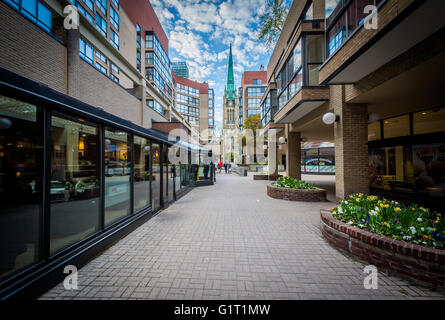 Market Lane Park e la Chiesa Cattedrale di San Giacomo a Toronto, Ontario. Foto Stock