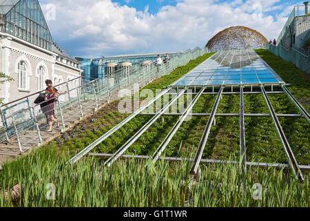 Giardino botanico situato sul tetto della Biblioteca Universitaria di Varsavia, Varsavia, Polonia Foto Stock