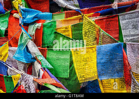 La preghiera buddista bandiere lungta con preghiere, Ladakh Foto Stock