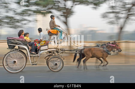 Mosso da un cavallo carrello Pheaton dell'epoca coloniale, in esecuzione nell'area di Maidan, Calcutta, West Bengal, India Foto Stock