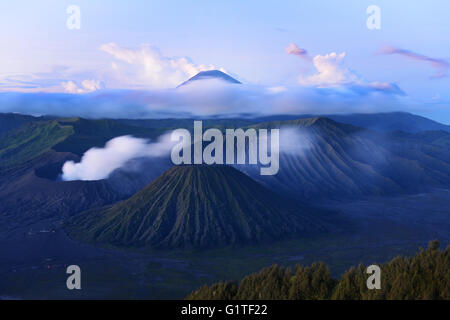 Alba sul fumo Gunung vulcano Bromo, Bromo-Tengger-Semeru National Park, Java, Indonesia. Foto Stock