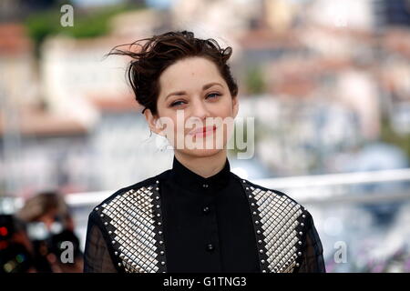 Cannes, Francia. 19 Maggio, 2016. L'attrice francese Marion Cotillard assiste il photocall per il film "Solo alla fine del mondo" durante la sessantanovesima annuale di Cannes Film Festival presso il Palais des Festivals a Cannes, Francia, il 19 maggio 2016. Credito: dpa picture alliance/Alamy Live News Foto Stock